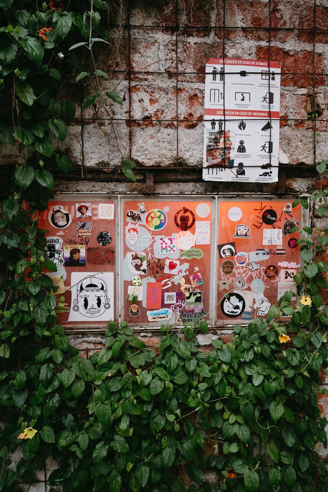 Muro de ladrillo con enredadera, carteles y calcomanías